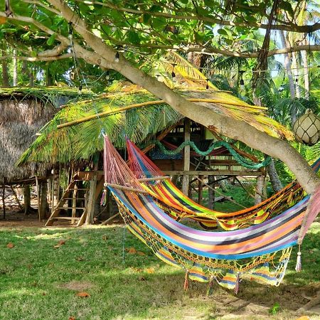 Derek'S Place Eco-Lodge Little Corn Island Esterno foto