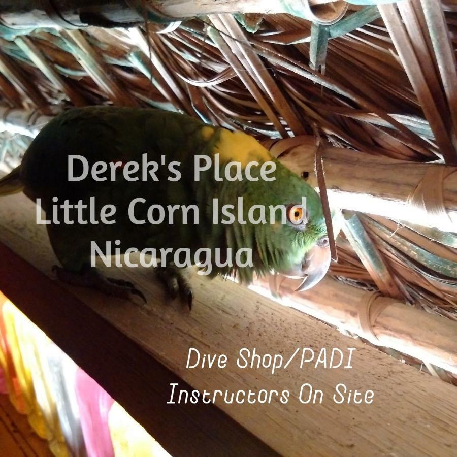 Derek'S Place Eco-Lodge Little Corn Island Esterno foto